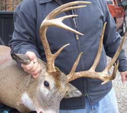 kentucky trophy whitetail buck